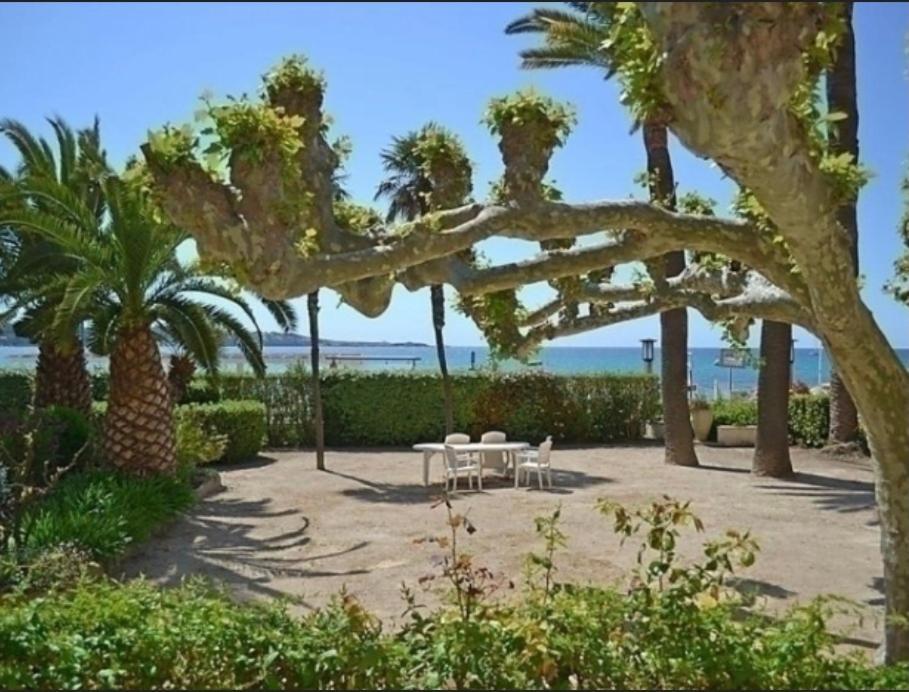 L Annexe 50M De La Plage Bandol Luaran gambar
